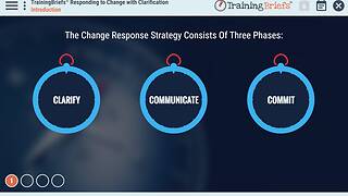 TrainingBriefs® Responding to Change with Clarification