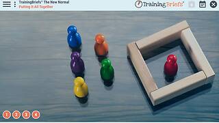 TrainingBriefs® The New Normal