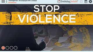 TrainingBriefs® An Employee with a Temper