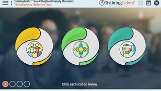 TrainingBriefs® Team Cohesion (Diversity Moments)