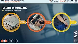 TrainingBriefs® The Honeymooner