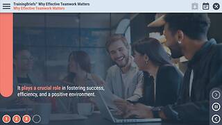 TrainingBriefs® Why Effective Teamwork Matters